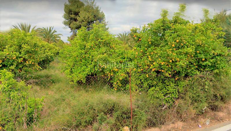 Foto 08831d88-6619-4569-9419-fddf8d00489c. Terreno residencial terreno en la albatalía en Albatalia Murcia