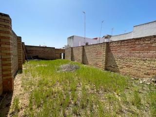 Terreny residencial a Almensilla. Terreno urbano en almensilla