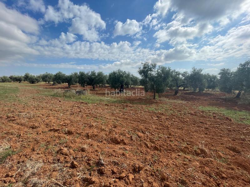 Foto 0ff3bbc9-5f08-4abe-9b01-ffde3d33b66f. Propriété dans Almensilla