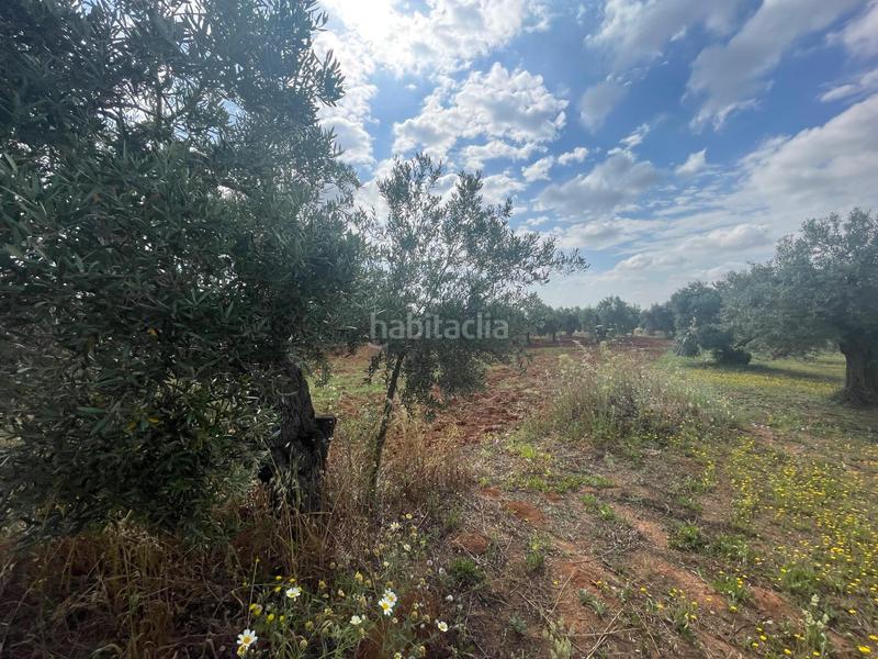 Foto 6c0e89ae-90c8-4bec-8cc4-ee75c05096b1. Propriété dans Almensilla