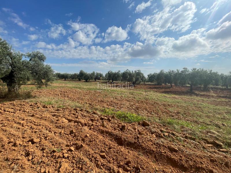 Foto 8d375f40-03c4-453a-8116-2a0cad1bb885. Propriété dans Almensilla