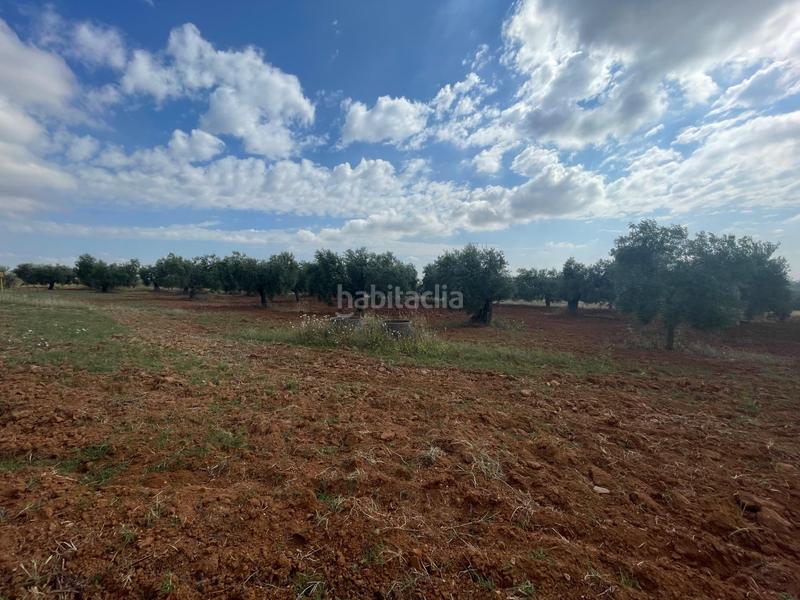 Foto b28089b7-8026-4d08-8d4e-e70194d1d368. Propriété dans Almensilla