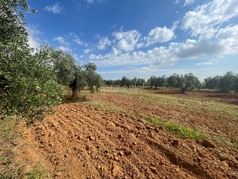 Foto c10de366-daaa-4262-97e9-c0f3ba64507a. Propriété dans Almensilla