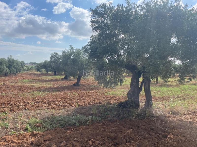 Foto e239332c-7670-4124-9af2-d89fdc85d6d4. Propriété dans Almensilla