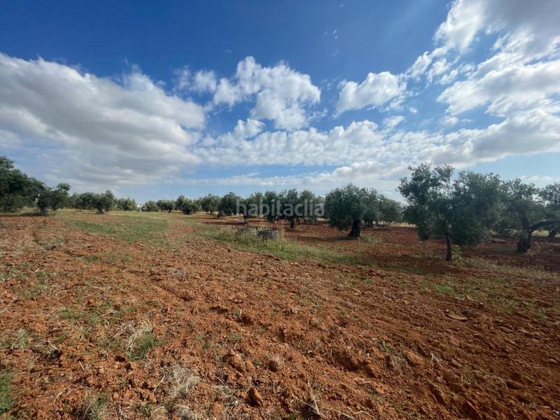 Foto e59c7ae5-edeb-4eff-9410-1fd1fd03f1f8. Propriété dans Almensilla