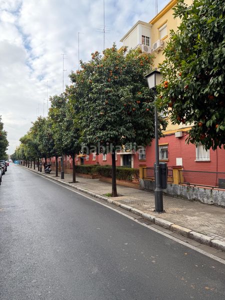 Foto 442baadf-d0ae-46a9-92ba-4eb5e6549a06. Pis a Barrio del Nervión Sevilla