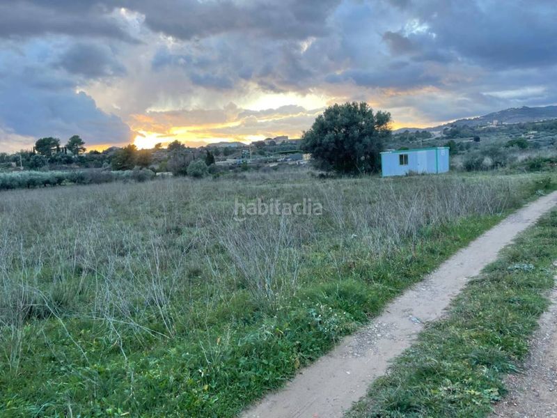 Foto b402f90e-7ca9-481e-96cb-bd6a493c8a2d. Finca rústica a Alcora (l´)