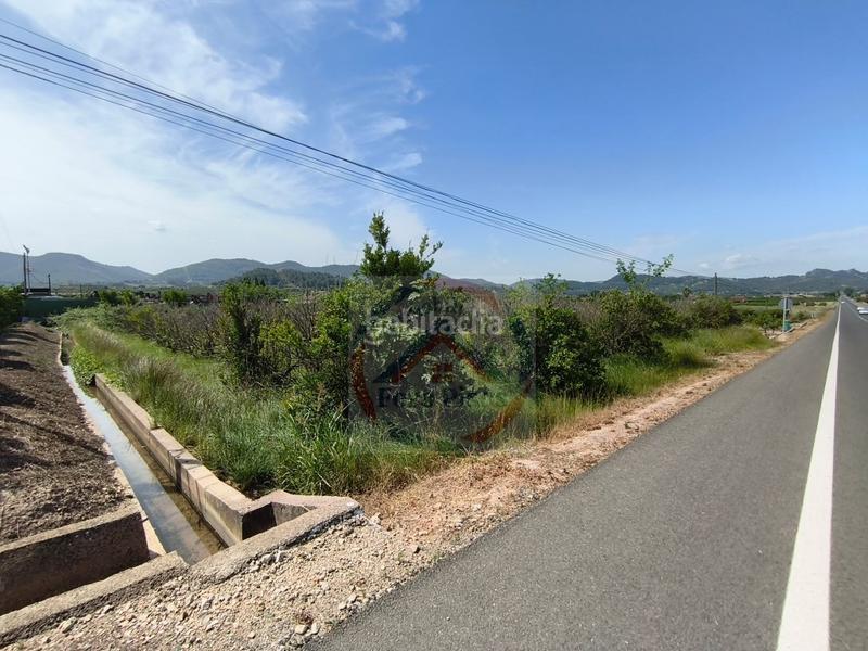 Foto 08a359f7-676c-45f7-b9ba-e39fc86bb26a. Terreny residencial a Lugar Nuevo de Fenollet