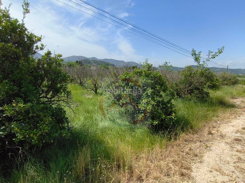 Foto 6cb675c4-2681-46eb-9d56-8aff1a39f84e. Terreny residencial a Lugar Nuevo de Fenollet