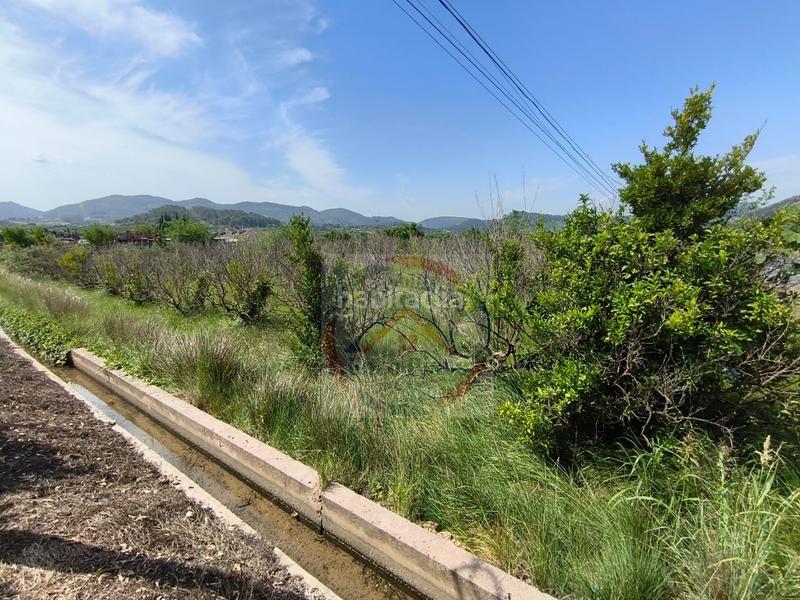 Foto 7d61811f-4de3-47c4-9c31-8b49ecccf676. Terreny residencial a Lugar Nuevo de Fenollet