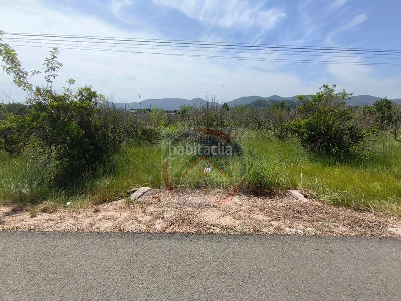 Foto f529c970-edc7-4e19-80f4-8f7d7171e56a. Terreny residencial a Lugar Nuevo de Fenollet