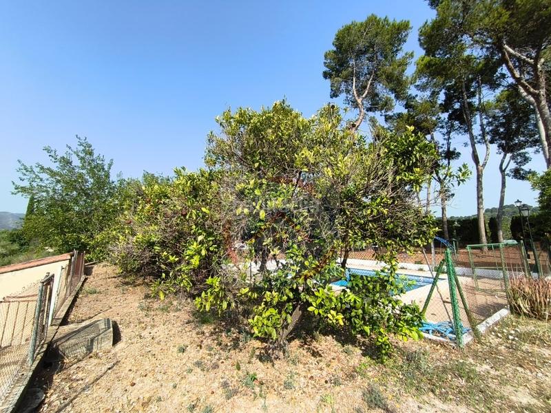 Foto bf3b0ad1-128e-44b3-a506-e37cb2d235c9. Casa  4 habitaciónes, duplex venta en Xàtiva
