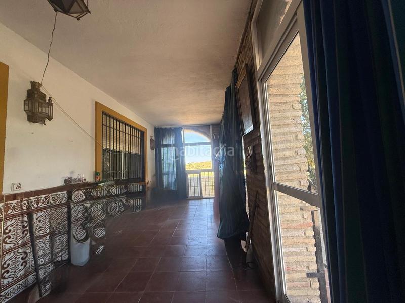 Foto 91851416-39df-4d67-acd4-8a7ed0b14796. Mas dans Alcolea Córdoba