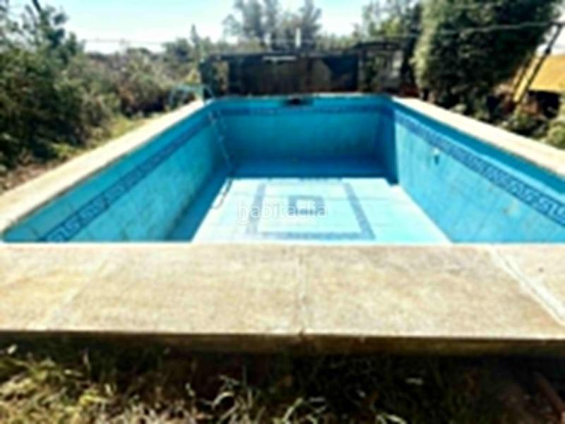 Foto dae7563d-309a-49c1-9139-7b09eeb9069a. Mas dans Alcolea Córdoba