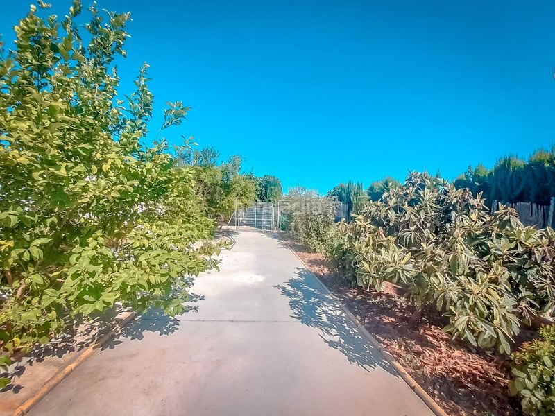 Foto 1ff04725-ec1a-4a53-aab1-c560584fd3aa. Chalet espectacular chalet con fantastico terreno en las lomas del rey. la carlota. córdoba en Carlota (La)