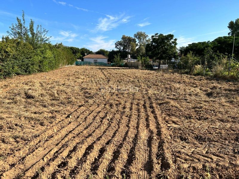 Foto a2b4c3c1-6a0c-4328-9123-35944776cde6. Finca rústica a Almodóvar del Río