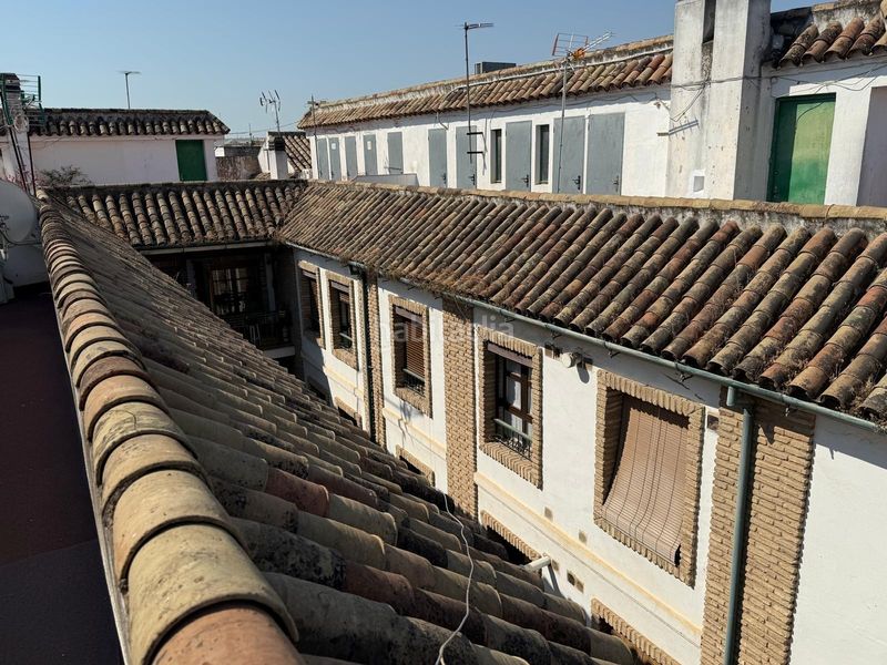 Foto 7195827a-f01d-4207-a983-056d3bd806dd. Planta baixa a casco histórico - ribera - san basilio Córdoba