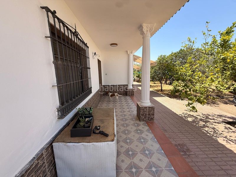 Foto d5d978c2-a4d8-422a-8691-63b847bed22d. Xalet amb aparcament piscina a Carlota (La)