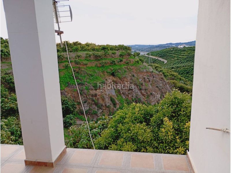 Foto 01a167fd-9d9a-4011-a45e-96dff8c21562. Finca rústica a Norte - Barrio del Pilar - El Reñidero Vélez - Málaga