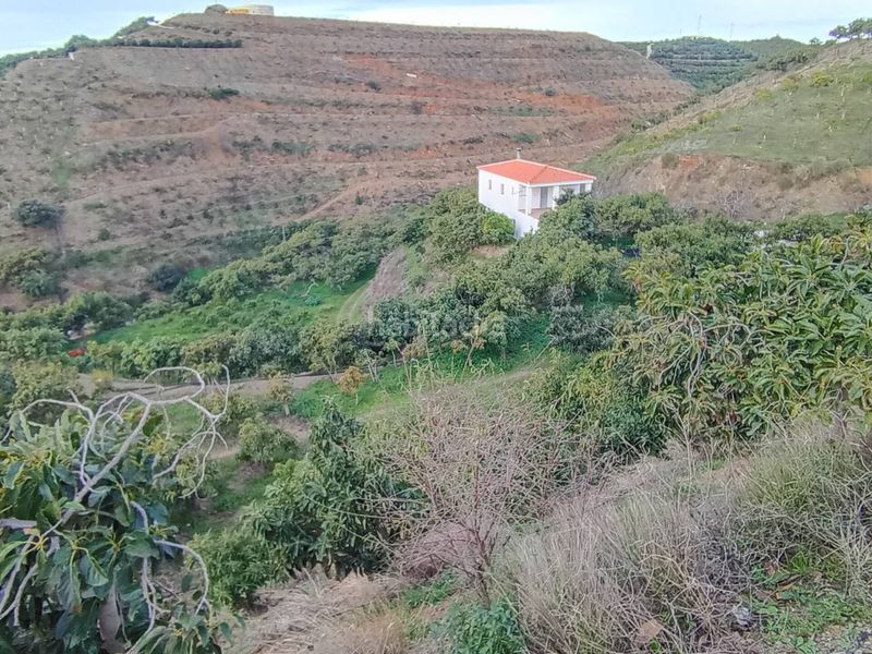 Foto 041f66c2-04b9-47ed-86af-16c9338e3811. Finca rústica a Norte - Barrio del Pilar - El Reñidero Vélez - Málaga