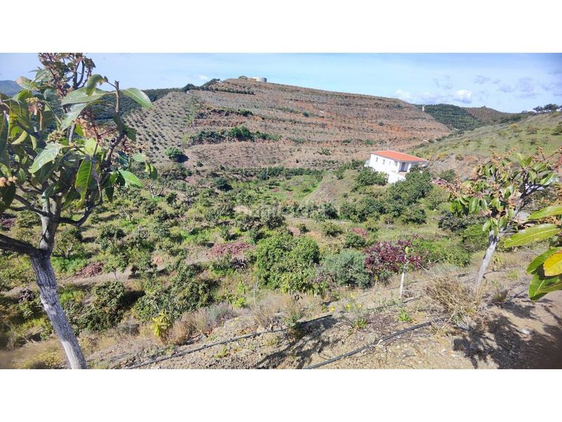 Foto 0bdc54fa-cb47-4eb9-892d-24aebc07ce69. Finca rústica a Norte - Barrio del Pilar - El Reñidero Vélez - Málaga
