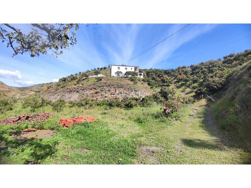 Foto 31699263-d3d0-49ce-aad0-7b85bcbf5334. Finca rústica a Norte - Barrio del Pilar - El Reñidero Vélez - Málaga