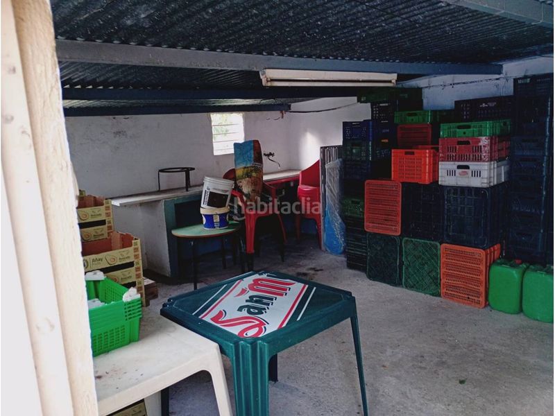 Foto 41fcd923-78b6-47c1-9a27-825b579de715. Finca rústica a Norte - Barrio del Pilar - El Reñidero Vélez - Málaga