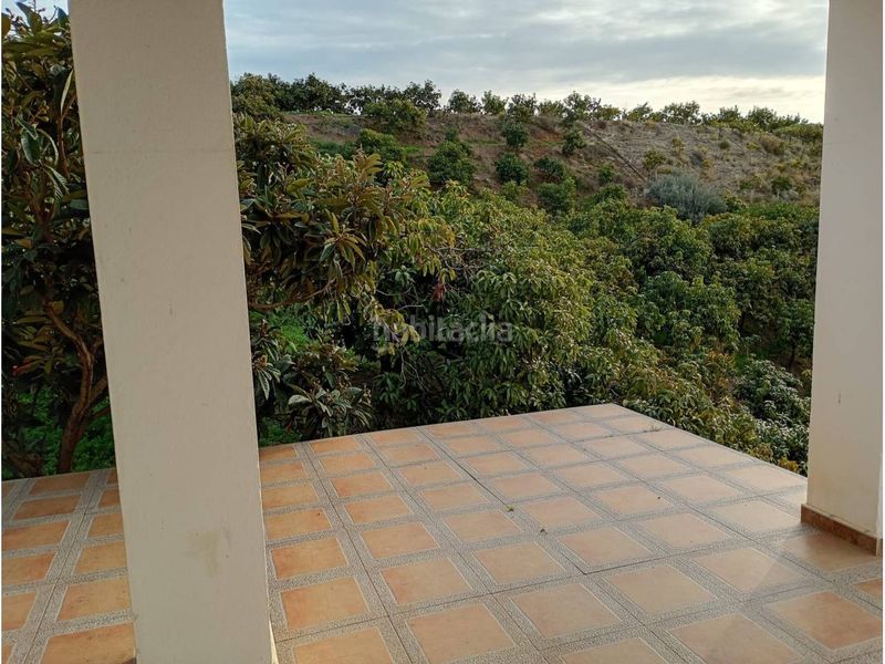 Foto 706c0ae7-6173-416d-8573-20a8968bfe72. Finca rústica a Norte - Barrio del Pilar - El Reñidero Vélez - Málaga