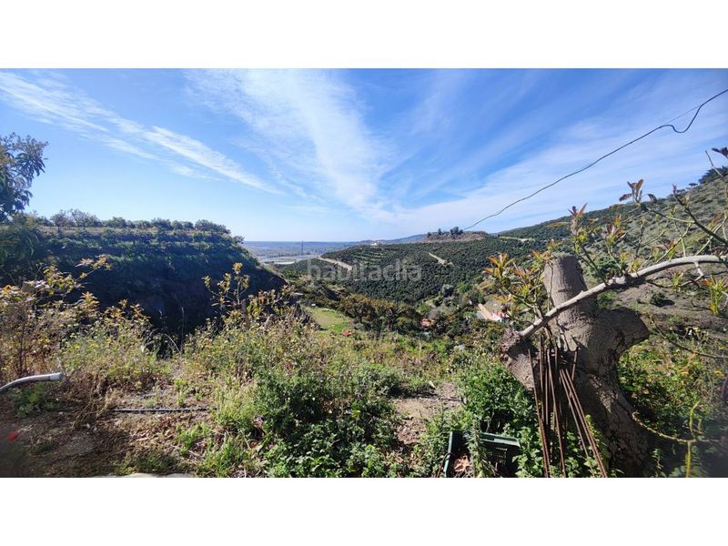 Foto 814974c6-6d4a-4571-ae7c-999b7e1babc1. Finca rústica a Norte - Barrio del Pilar - El Reñidero Vélez - Málaga