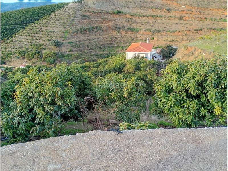 Foto 9119967d-f8a8-4f5f-854d-861d1f38ac51. Finca rústica a Norte - Barrio del Pilar - El Reñidero Vélez - Málaga