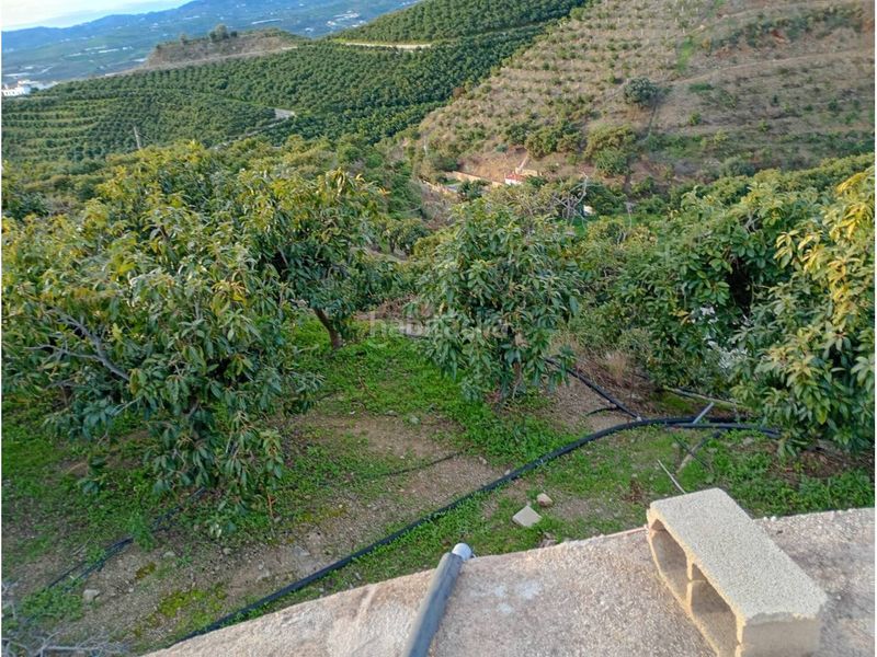 Foto bebf5f8c-82e4-4172-95fe-d1cb1b42dd27. Finca rústica a Norte - Barrio del Pilar - El Reñidero Vélez - Málaga