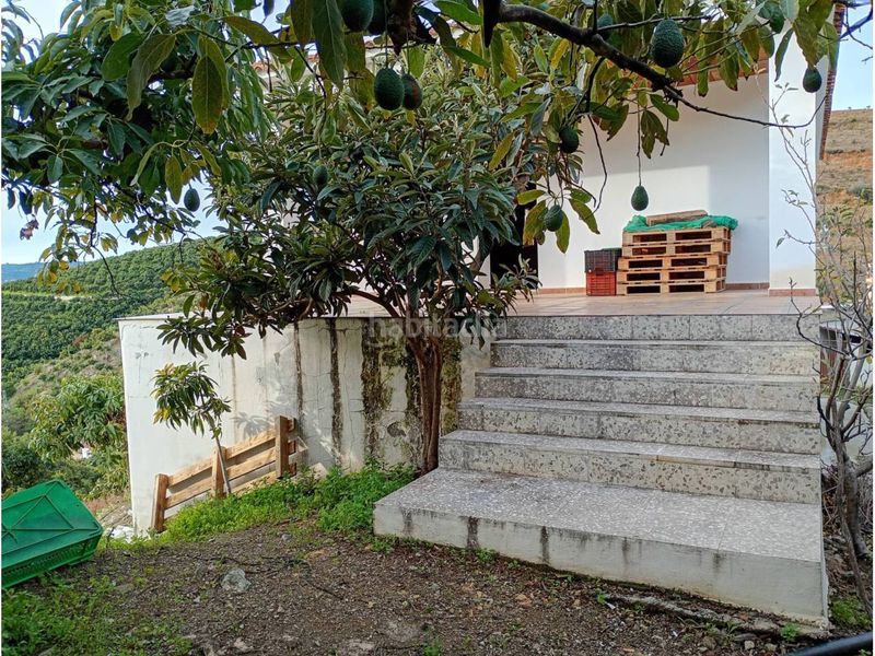 Foto c8cbbbee-b22b-443d-8e57-041f08e6b036. Finca rústica a Norte - Barrio del Pilar - El Reñidero Vélez - Málaga
