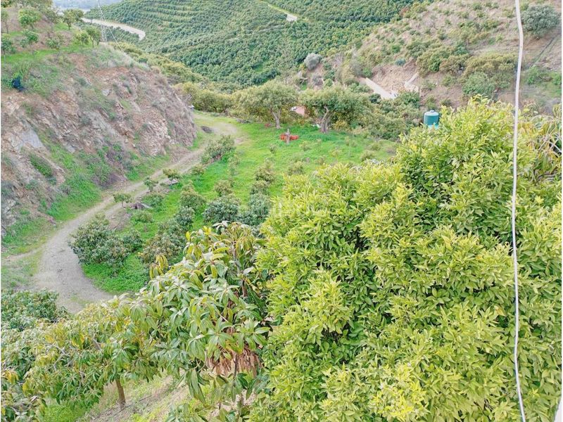Foto dc1bb4f0-4f90-436a-b00b-03278e9f7b8c. Finca rústica a Norte - Barrio del Pilar - El Reñidero Vélez - Málaga
