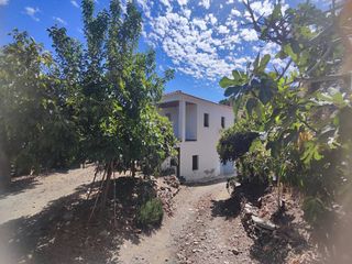 Fondo rustico  Calle paraje. Finca de mangos y aguacates cerca de la viñuela