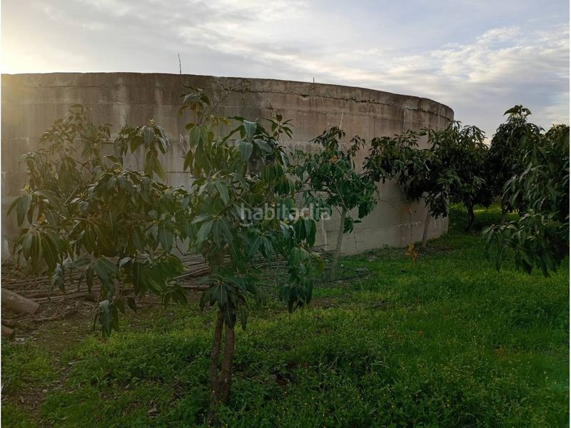 Foto ebe91e17-4346-4204-b07a-a1b0513b2582. Finca rústica a Norte - Barrio del Pilar - El Reñidero Vélez - Málaga