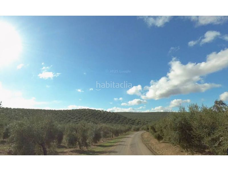 Foto 63fd7421-b38e-4205-b3e5-cbb7f7813b7a. Finca rústica a Villatorres