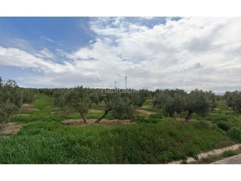 Foto 6895d761-2207-4026-aa08-c94b0be5a9fc. Finca rústica a Villatorres
