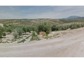 Fondo rustico  Camino brujuelo. Terreno de olivar en la zona de villagordo, en jaén