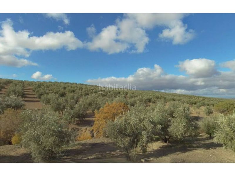 Foto cd63d5af-249f-48bb-96c7-f6d7aa29b914. Finca rústica a Villatorres