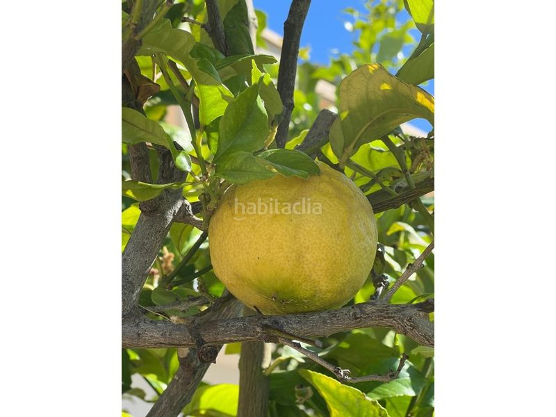 Foto bdb89421-9ab7-4d0c-8896-266ae976faf0. Casa amb aparcament a Pinar de Advocat-Cometa Moraira