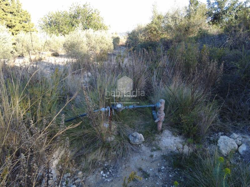 Foto 16a222bc-e33c-4aac-991c-4a7346394bf8. Mas dans Partida Comunes-Adsubia Xàbia