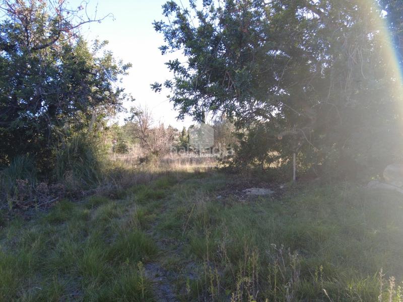 Foto 18d22ea0-10ce-423f-9e76-75e912fe619f. Mas dans Partida Comunes-Adsubia Xàbia