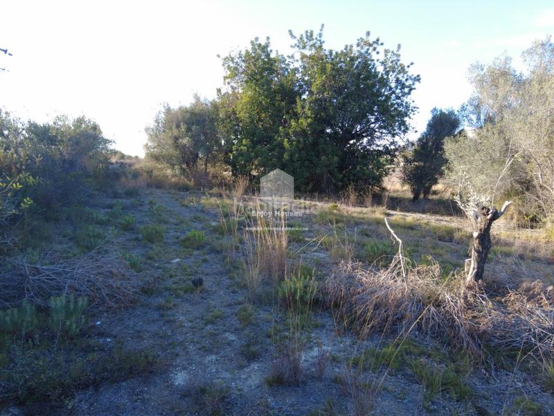 Foto 2b846240-615d-4f25-8199-2e1adf068115. Mas dans Partida Comunes-Adsubia Xàbia