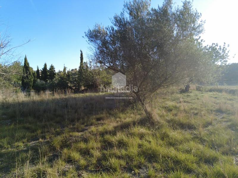 Foto 714ad246-f0de-4ecf-8724-cf5ef5153f63. Mas dans Partida Comunes-Adsubia Xàbia