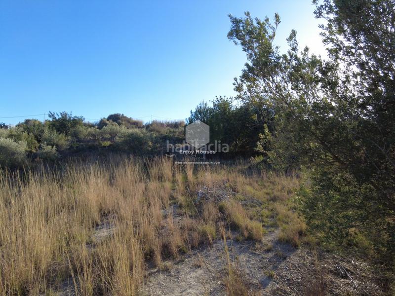 Foto 7bf54b71-c6da-4dcd-94ff-33181bc9cda0. Mas dans Partida Comunes-Adsubia Xàbia