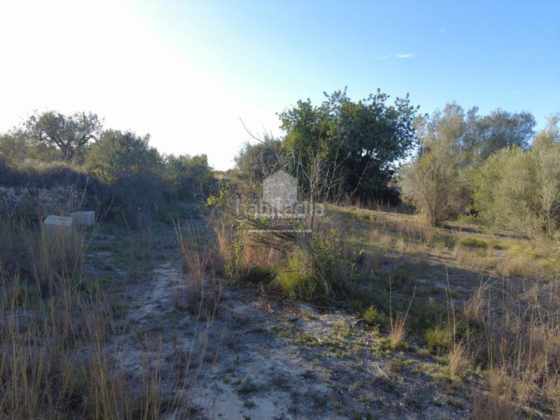 Foto a2c8229e-58ce-4700-b83a-cae1e9cc4272. Mas dans Partida Comunes-Adsubia Xàbia