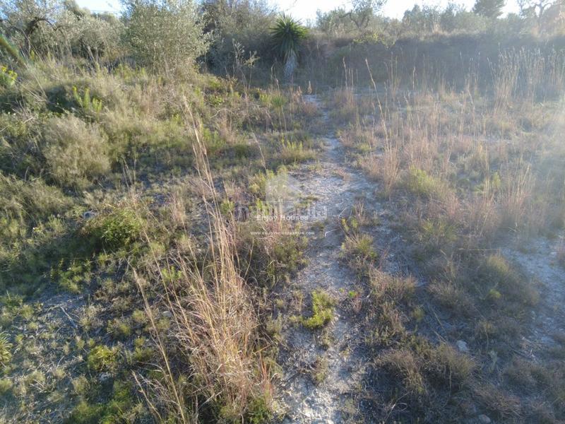 Foto ddaf47c2-f9d7-4681-aa8d-9c4df96bb651. Mas dans Partida Comunes-Adsubia Xàbia