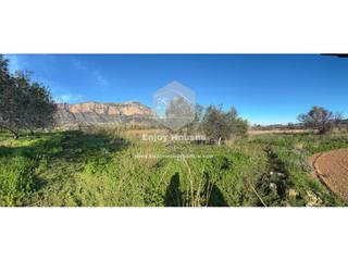 Finca rústica a Jesús Pobre. Venta de 2 parcelas en el valle del montgó