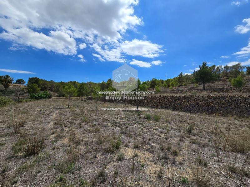 Foto 18defa53-b546-46b3-9aaa-7b4b2e78085f. Finca rústica oferta exclusiva en la nucía en El Tossal-Bello Horizonte Nucia (la)