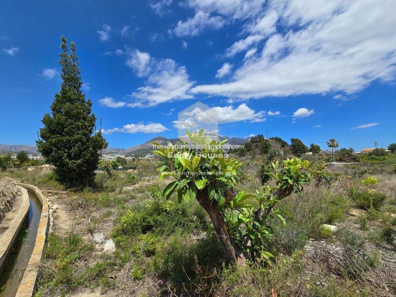 Foto 2b1cf116-143c-4fae-b89f-09c37d00a7b9. Finca rústica oferta exclusiva en la nucía en El Tossal-Bello Horizonte Nucia (la)